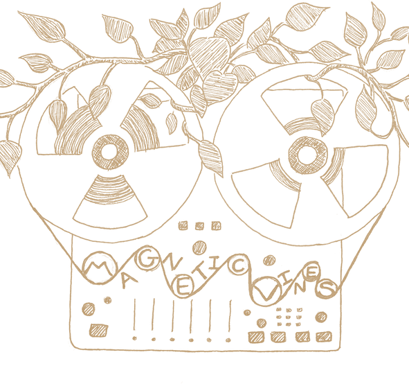 line drawing of a reel-to-reel tape machine with vines growing all around it. the tape wraps around text that reads "Magnetic Vines"