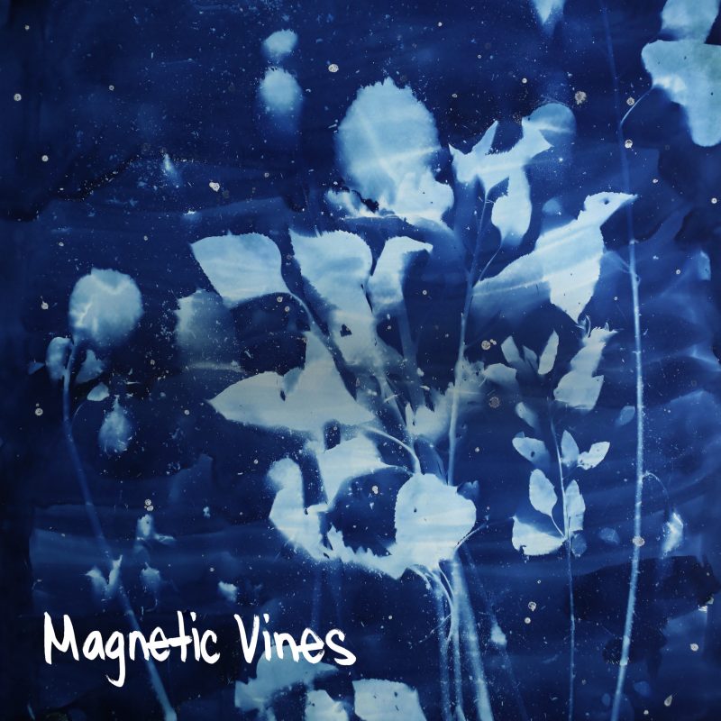 Magnetic Vines
