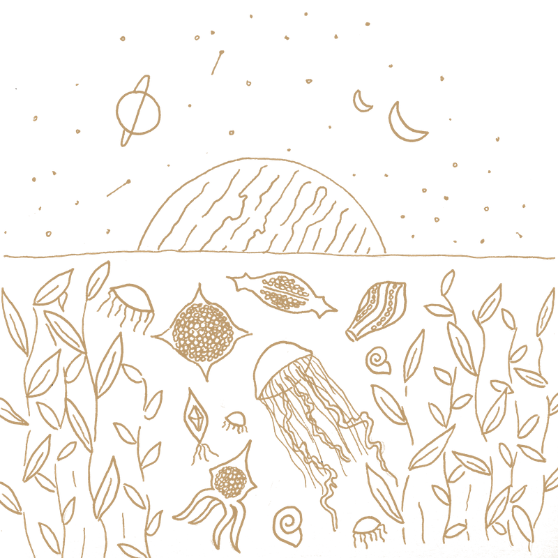 whimsical line drawing of an extraterrestrial ocean, with jellyfish, seaweed, and diatoms in the ocean and a starry night sky with planets above