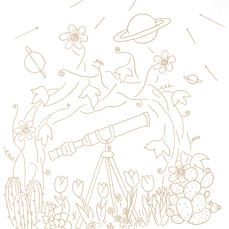 whimsical line drawing of a telescope in a garden, surrounded by various plants and beneath a sky with meteors and planets